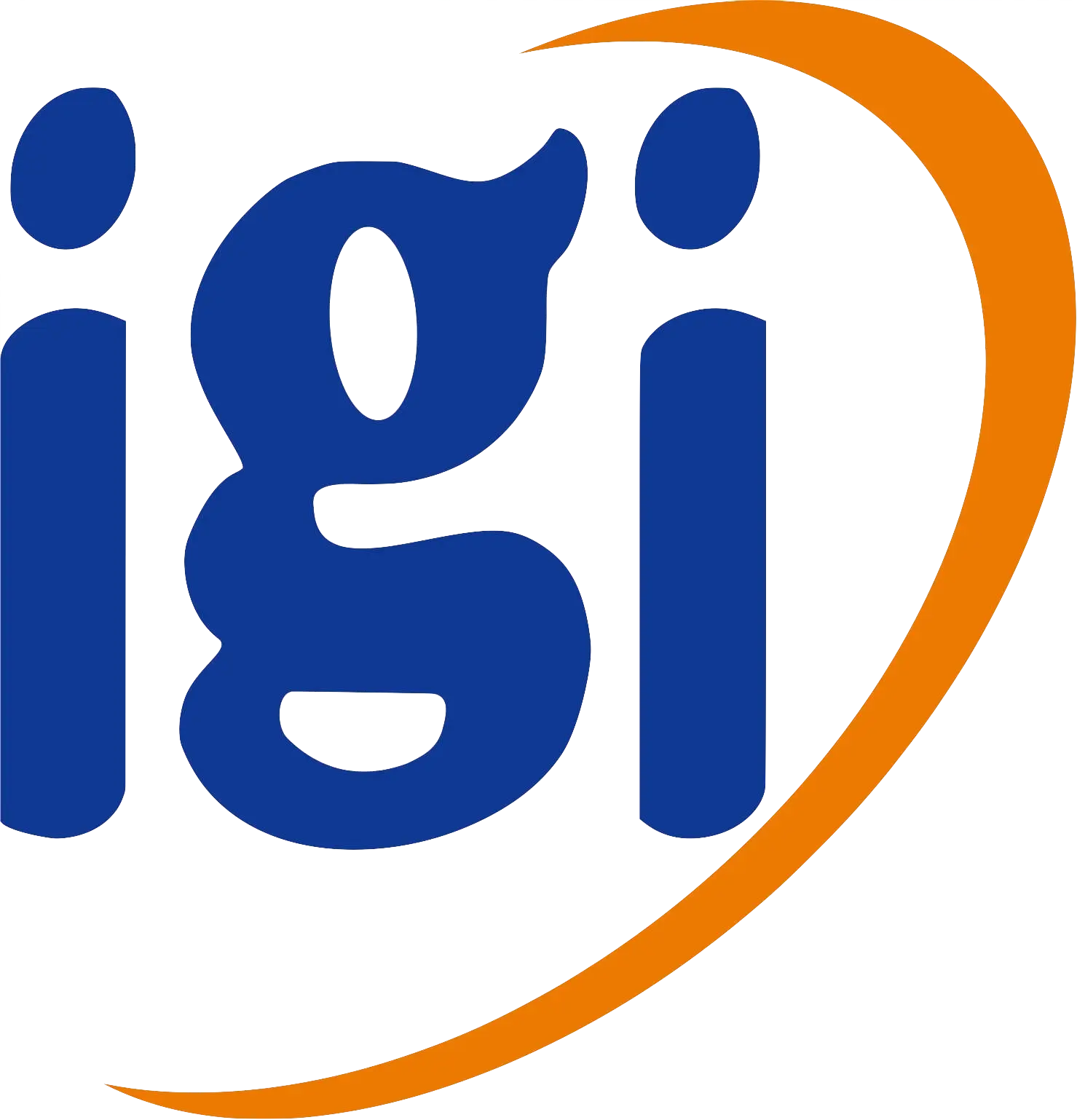 IGI Logo